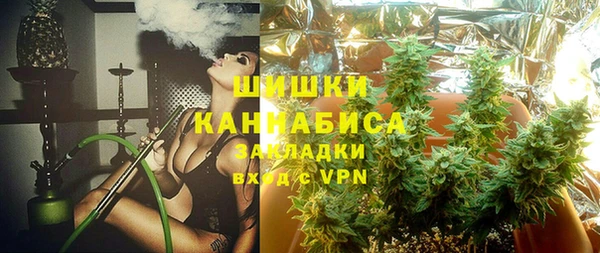 спайс Алзамай
