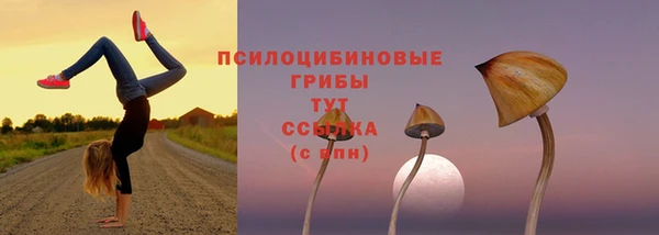 прущая мука Абаза