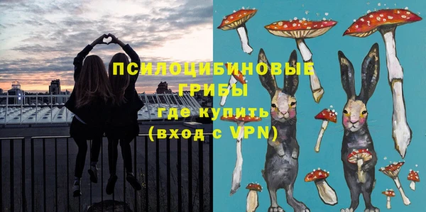 сатива Алексеевка