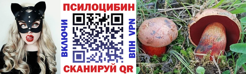 Псилоцибиновые грибы прущие грибы  Губкин 